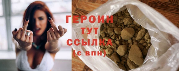 МДПВ Пересвет