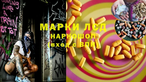МДПВ Пересвет