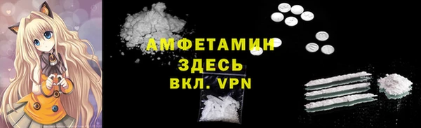 МДПВ Пересвет