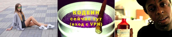 МДПВ Пересвет