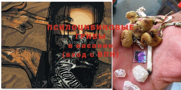 первитин Пестово