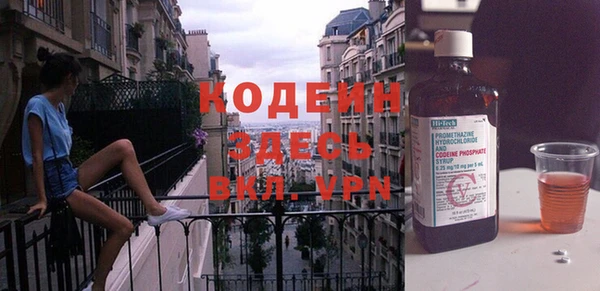 МДПВ Пересвет