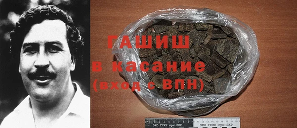 МДПВ Пересвет