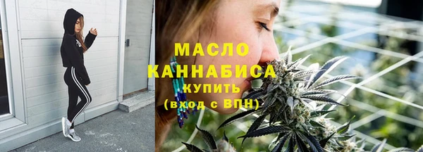 МДПВ Пересвет