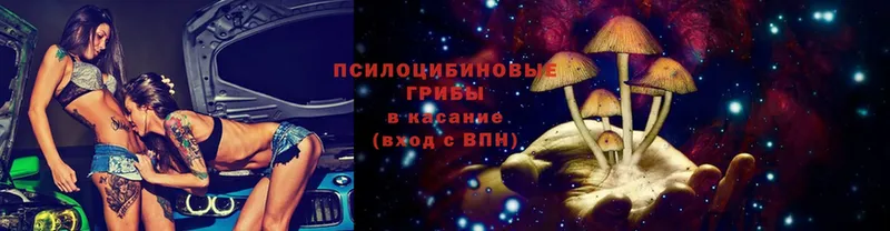 Псилоцибиновые грибы Cubensis  Семикаракорск 