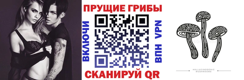Галлюциногенные грибы Psilocybine cubensis ОМГ ОМГ tor Семикаракорск закладки