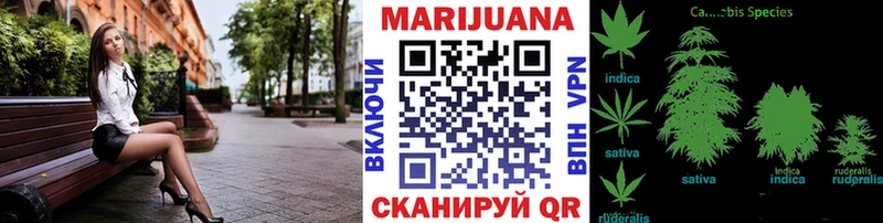 наркота  Семикаракорск  Конопля VHQ 